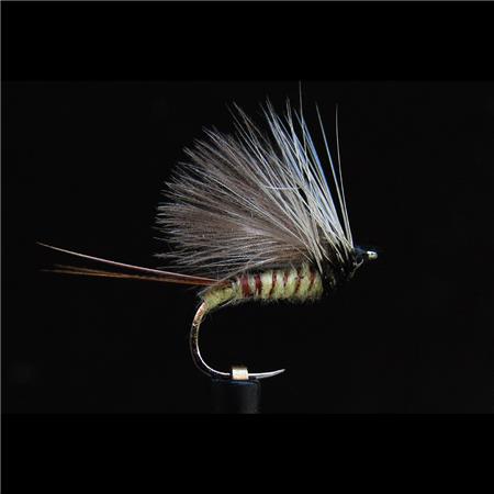 Mosca Jmc Secche Mai 40 Bl