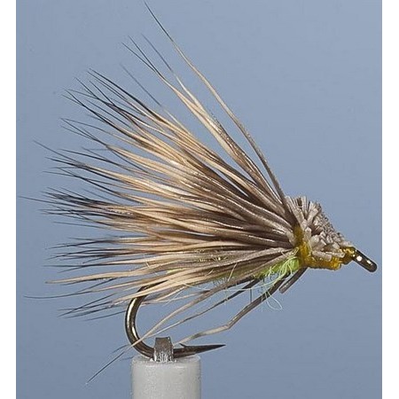 Mosca Jmc Sedge Enrochement Culo Verde