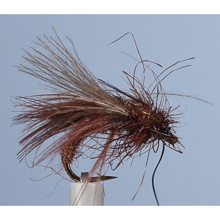 Mosca Jmc Sedge Zc 13 Marrone