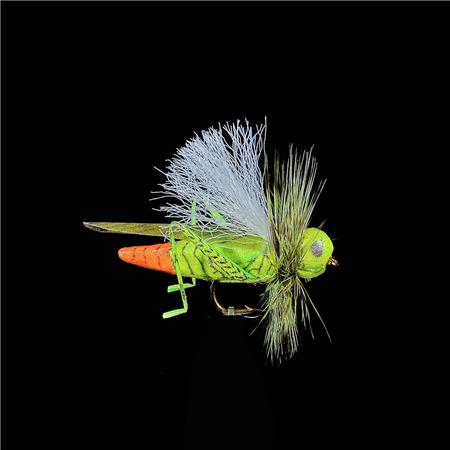 Mosca Jmc Terrestri Cavalletta 26