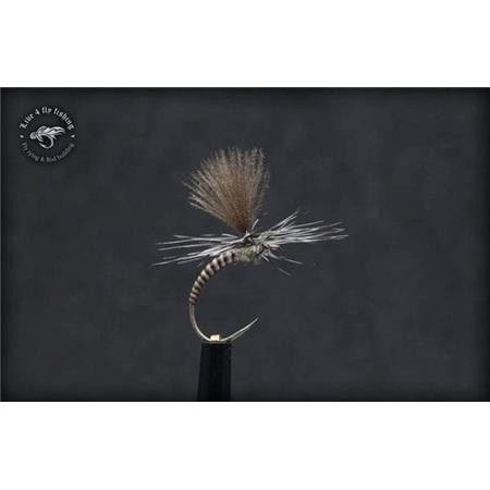 Mosca Live For Fly Emergente D103 - Paquete De 3