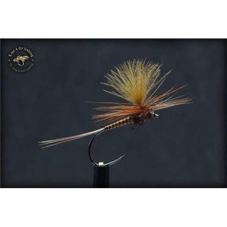 Mosca Live For Fly Emergente D104 - Paquete De 3