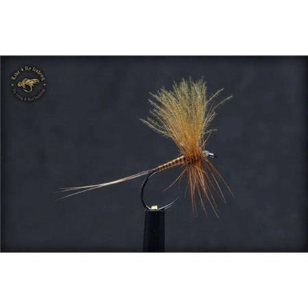 Mosca Live For Fly Emergente D105 - Paquete De 3