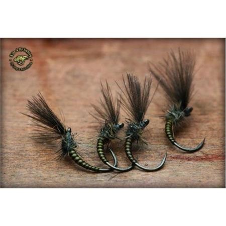 Mosca Live For Fly Emergente D41 - Paquete De 3