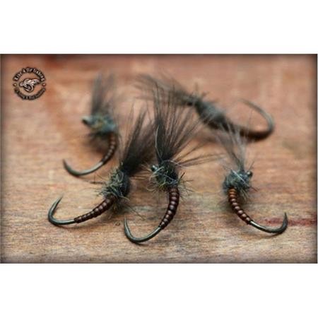 Mosca Live For Fly Emergente D43 - Paquete De 3