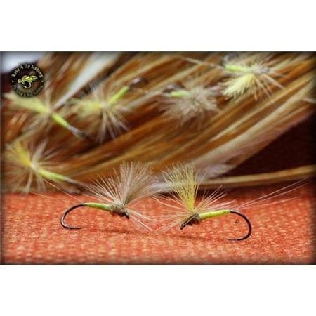 Mosca Live For Fly Emergente D66 - Paquete De 3