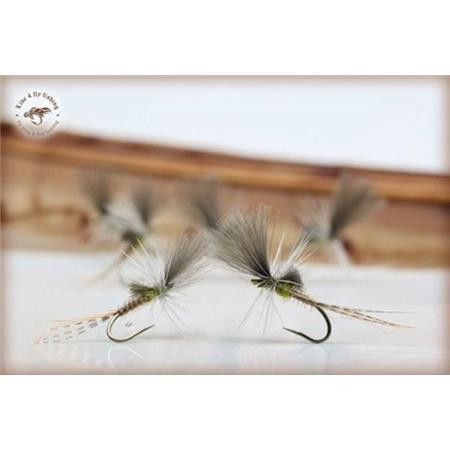 Mosca Live For Fly Emergente D71 - Pacchetto Di 3