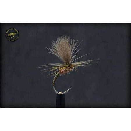 Mosca Live For Fly Emergente D95 - Paquete De 3