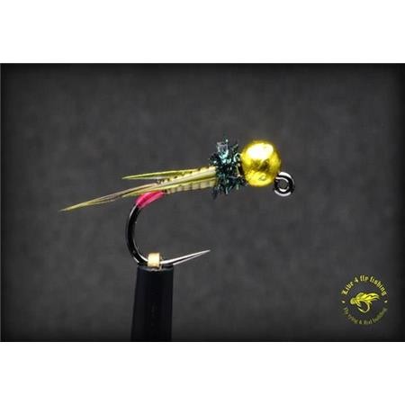Mosca Live For Fly Nymphe N140 - Paquete De 3