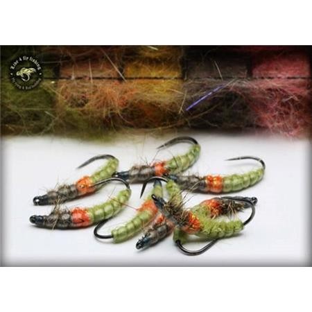 Mosca Live For Fly Nymphe N75 - Paquete De 3
