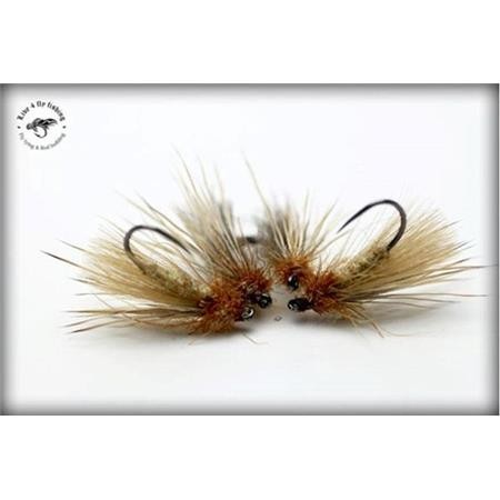 Mosca Live For Fly Sedge D52 - Paquete De 3