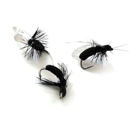 Mosca Sempe Ninfa Fourmi Noire - Pacchetto Di 3