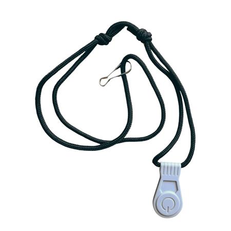 MOTEUR ÉLECTRIQUE HASWING BRUSHLESS ARMADA T8 250LBS 48V