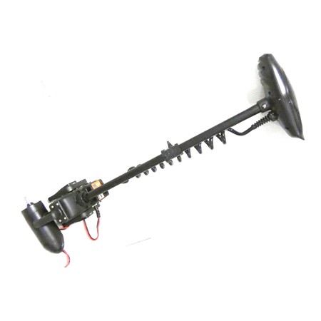 Moteur Électrique Haswing Cayman T55 12V - 17822346
