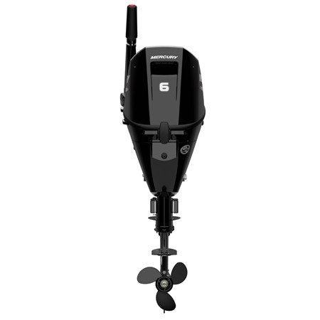 MOTEUR THERMIQUE MERCURY 4 TEMPS 6CV EFI BI-CYLINDRE