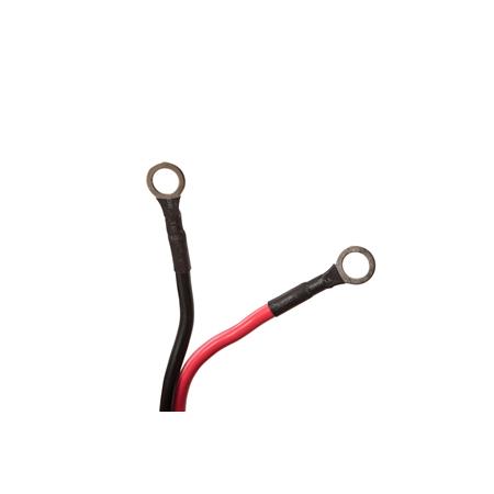 MOTORE ELETTRICO HASWING OSAPIAN 55 LBS 2026