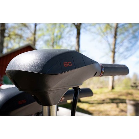 MOTORE ELETTRICO RHINO VX 80 V2