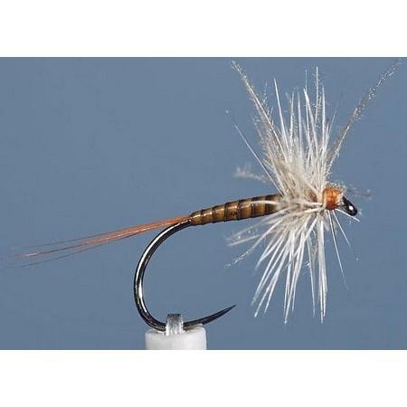 Mouche Jmc Ephemere Eli 25 Bl