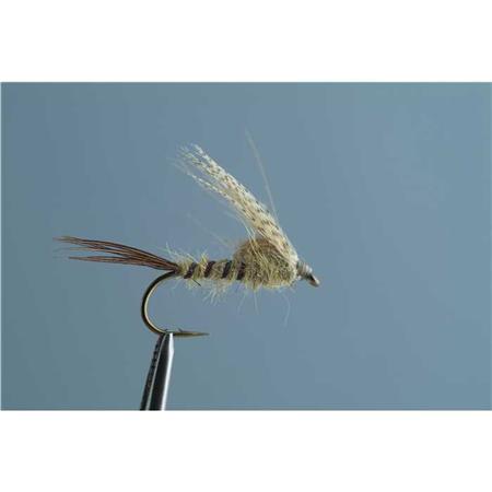 Mouche Tof Émergente Mayfly Emerger