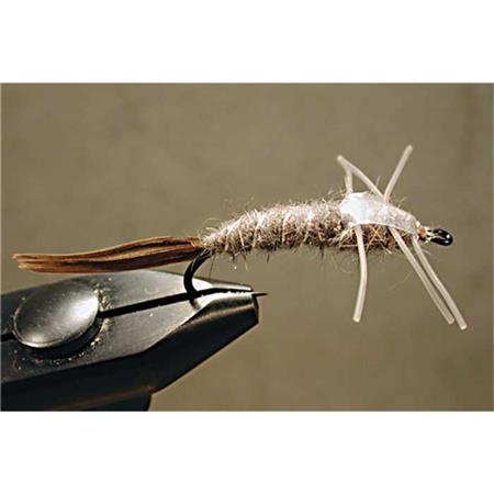 Mouche Tof Nymphe Stonefly - Gris