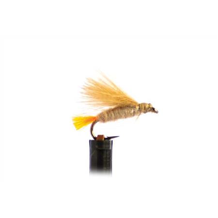 Mouche Tof Palmer Cdc Tag