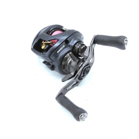 Moulinet Casting Daiwa Steez A2 Tw 2023 - Stz23a2tw1000hl