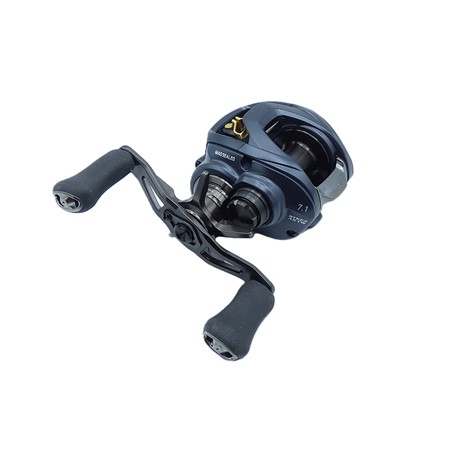 Moulinet Casting Daiwa Steez A2 Tw 2023 - Stz23a2tw1000hl