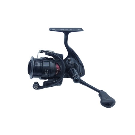 Moulinet Daiwa Theory - Th2004ha