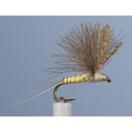 Mucha Jmc Emergente 25