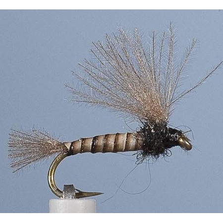 Mucha Jmc Emergente Bm 6