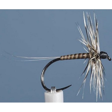 Mucha Jmc Ephemere Eli 10 Bl