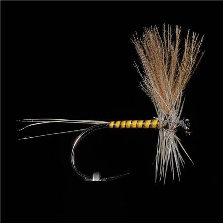 Mucha Jmc Ephemere Eli 12 Bl