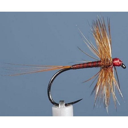 Mucha Jmc Ephemere Eli 13 Bl