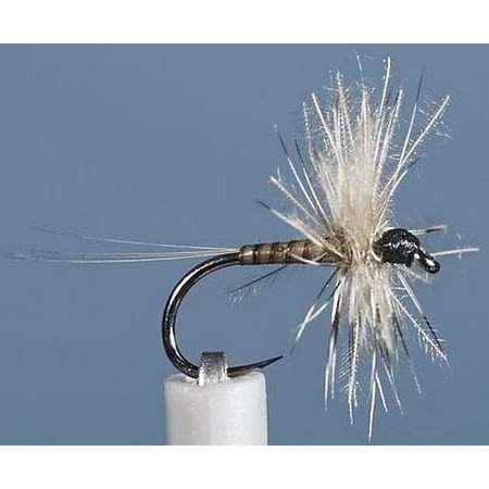 Mucha Jmc Ephemere Eli 20 Bl