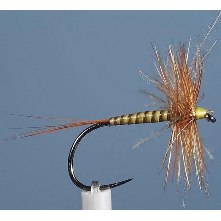 Mucha Jmc Ephemere Eli 24 Bl