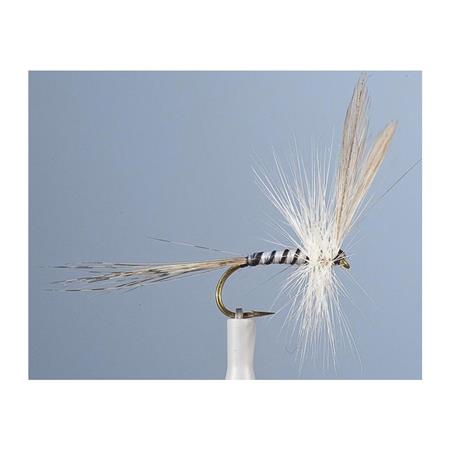 Mucha Jmc Ephemere Mai 5