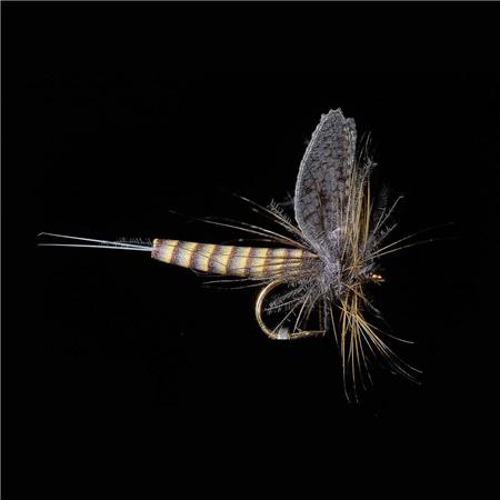 Mucha Jmc Ephémères Jmc 74