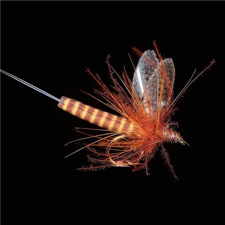 Mucha Jmc Ephémères Jmc 75