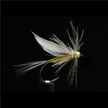 Mucha Jmc Ephémères Ornans 21 Bl