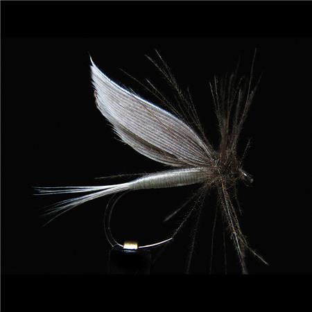 Mucha Jmc Ephémères Ornans 23 Bl