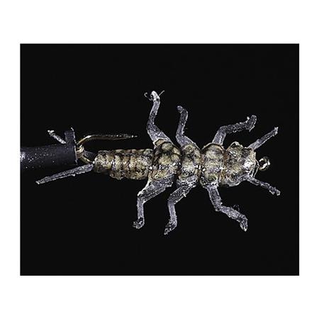 Mucha Jmc Nymphe Jig 100