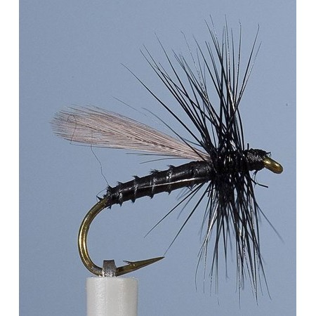 Mucha Jmc Terrestre Ph 14