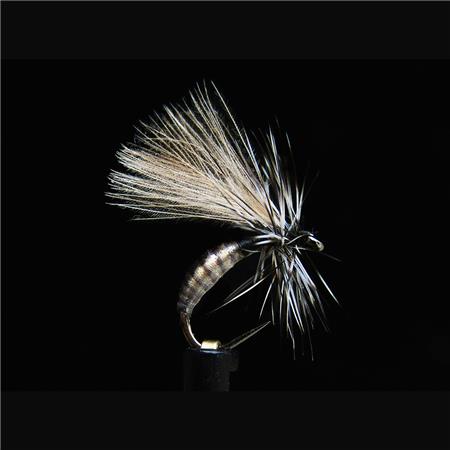 Mucha Jmc Terrestres Ter 1 Bl