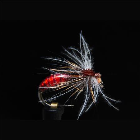 Mucha Jmc Terrestres Ter 3 Bl