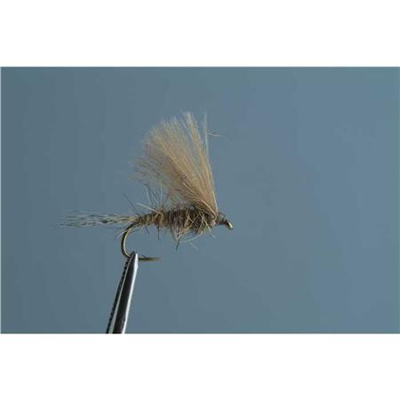 Mucha Tof Emergentna Oreille De Lievre