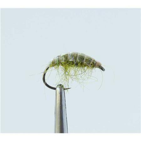 Mucha Tof Nymfa Gammare - Oliwkowy