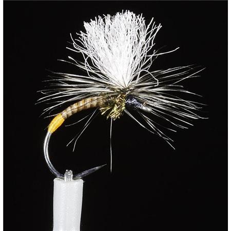 Muchówka Chiro Jmc Dc150 Bl