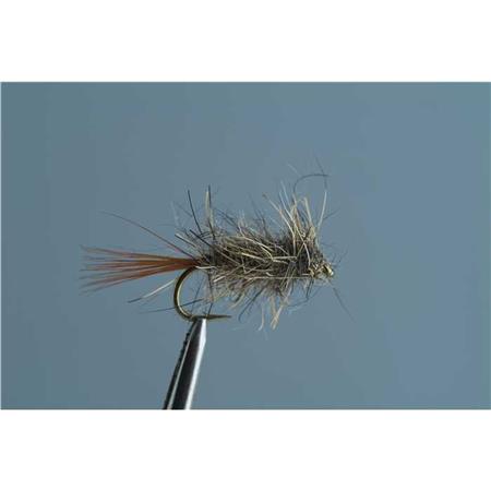 Muchówka Tof Emergentna Oreille De Lievre Emerger