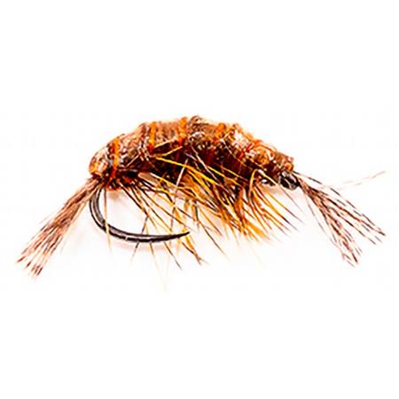 Muchy Devaux Gammare Jbgl11 - Pack De 3