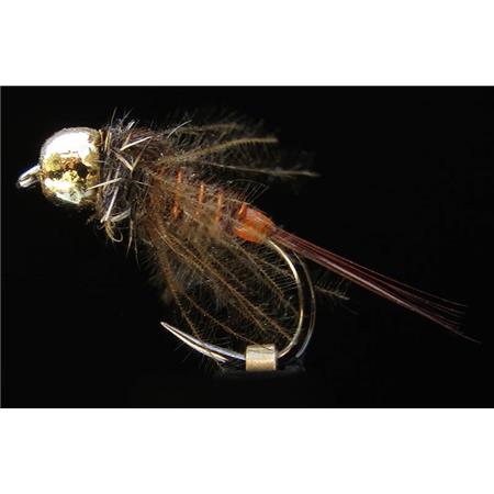 Muchy Jmc Ntd 431 Or